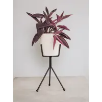 слайд 5