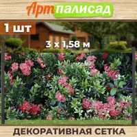 слайд 0