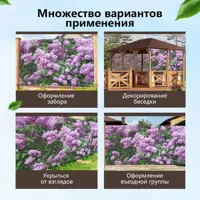 слайд 3
