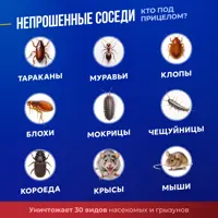 слайд 9