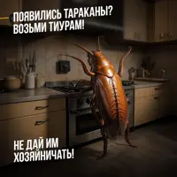 слайд 6