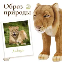 слайд 3