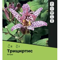 слайд 0