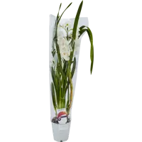 слайд 4