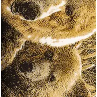 слайд 9