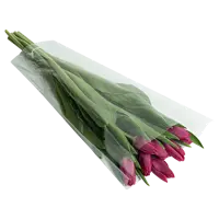 слайд 0