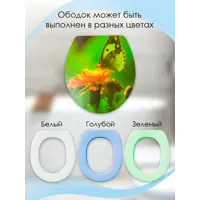слайд 5