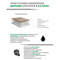 слайд 5