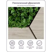 слайд 5