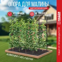 слайд 3