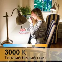 слайд 5