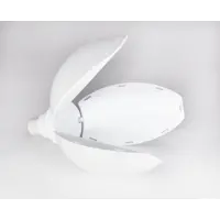слайд 5