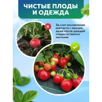слайд 4