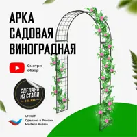 слайд 0