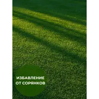 слайд 6