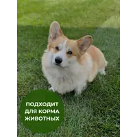 слайд 7