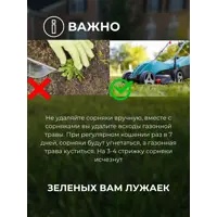 слайд 9