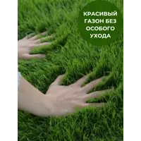 слайд 5