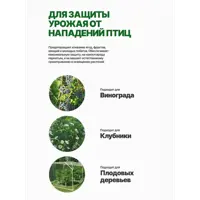 слайд 5