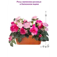 слайд 0