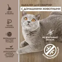 слайд 6