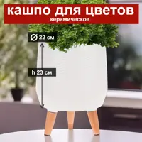 слайд 0