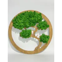 слайд 0