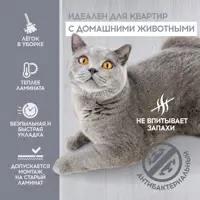 слайд 6