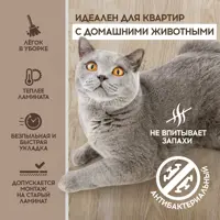 слайд 6