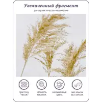 слайд 6