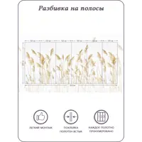 слайд 5