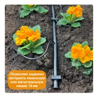 слайд 5
