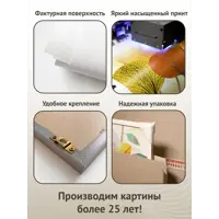 слайд 5