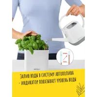 слайд 8