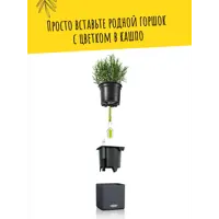 слайд 6