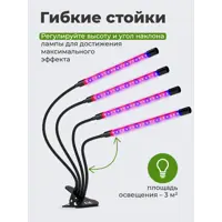 слайд 6