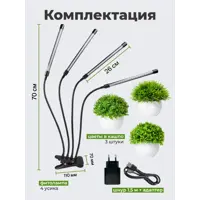 слайд 7