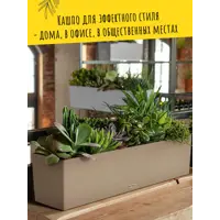 слайд 7