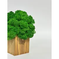 слайд 4