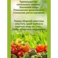 слайд 3