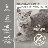 слайд 6