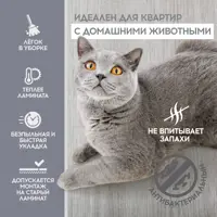 слайд 6