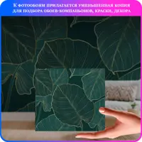 слайд 6