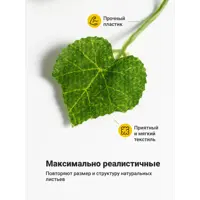 слайд 6