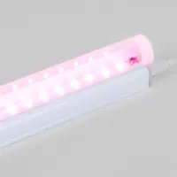 слайд 5