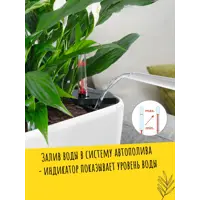 слайд 4