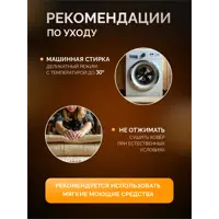 слайд 5