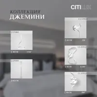 слайд 5