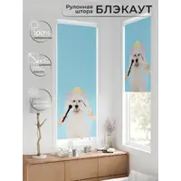слайд 7