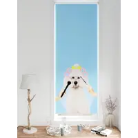 слайд 0